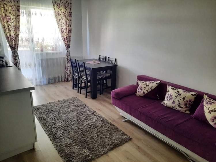Diana Apartament Braşov Exterior foto